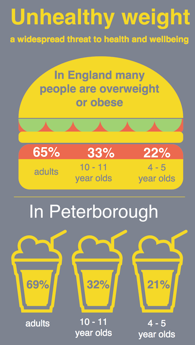 Graphic from Peterborough Public Health Annual Report 2015-16