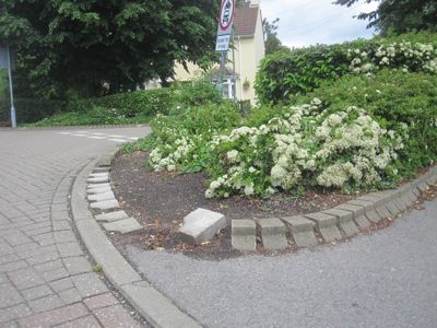 Akeman Street Planting