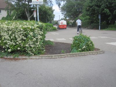 Akeman Street Planting