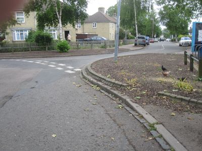 Akeman Street Planting