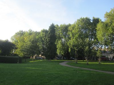 If the trees lining Alexandra Gardens were to be felled the green area would cease to feel so separate from the neighbouring high-density housing.  