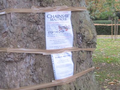 Unofficial notices warn of the council's proposed chainsaw massacre on Alexandra Gardens. No further official notices or consultation are planned despite not all information yet being available, and a final decision not being made till December or January. 