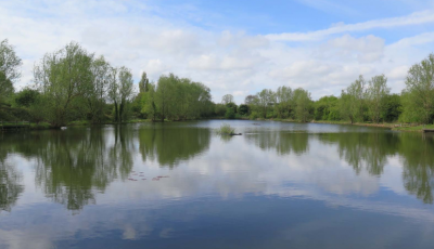 Barnwell Lake View From Chisholm Trail