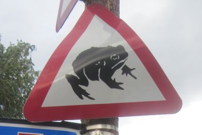 Road sign warning of toads at Burnside, Cambridge. This is rather battered sign is currently high up a pole, I believe it has been moved.   