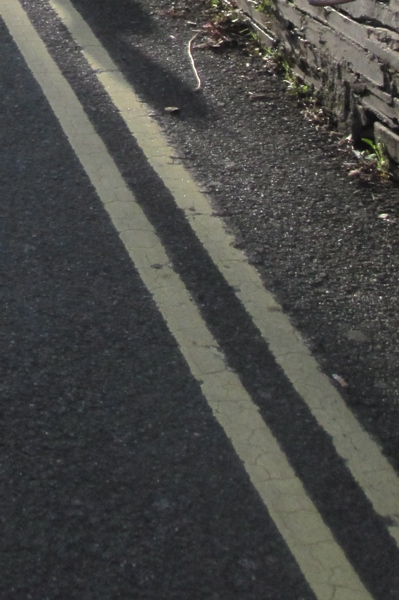 Cambridge City Council's £2,000 for a short stretch of double yellow lines makes a small contribution to the over £20,000,000 annual national cost of publishing highways notices in newspapers. The double yellow lines pictured are just illustrative; they are from Padstow in Cornwall.  