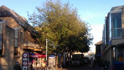 Liberal Democrat Run Cambridge City Council Is Proposing to Fell Two of the Four Trees Outside Waitrose on Fitzroy Street