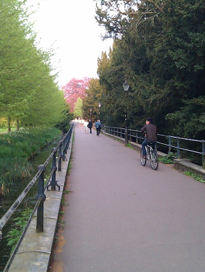 There is a proposal to reduce the Yew Trees, to the right of the Garret Hostel Lane path to 4m high this winter. 