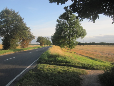 There is a proposal to buy a strip of field, to the right of the trees, for use as a cycleway.  