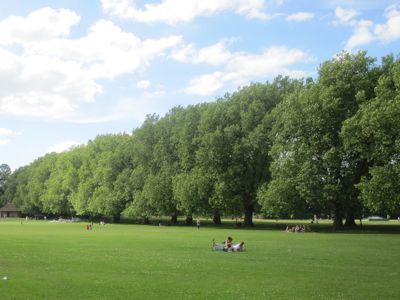 Plane Tree Avenue, Jesus Green, Cambridge. 