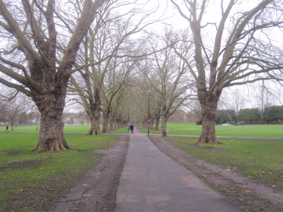 Repairing the path under the avenue of plane trees on Jesus Green is at last high up the city council's list of priorities.