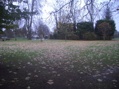 Jesus Green Piazza Site - Area of grass under threat.