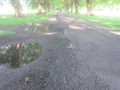 Only Cllr Whitebread argued the path under the plane tree avenue ought be the first priority.