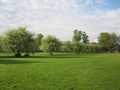 Cherry Trees Avenue