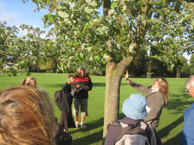 Cambridge City Council Tree Officer Kenny McGregor Explains Why He Thinks a Tree Ought be Felled. Cllr Julie Smith, Who Will Decide The Tree's Fate, Looks On.  