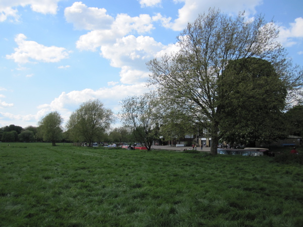 Riverside Trees