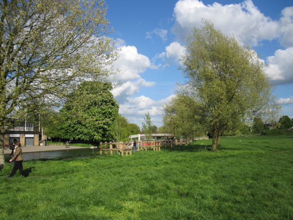 Riverside Trees