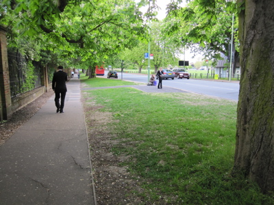 Gap in the Chestnut Avenue