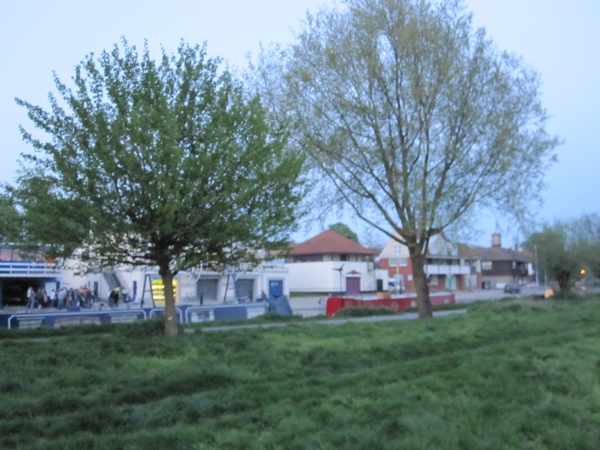 Trees to be felled