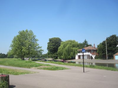 Cambridge City Council has felled many trees from Midsummer Common; significant funds have been allocated for replacements. 