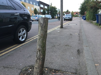 Tree stump on Milton Road, Cambridge. September 2017