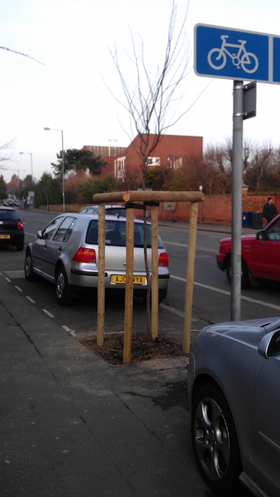 New tree on Milton Road