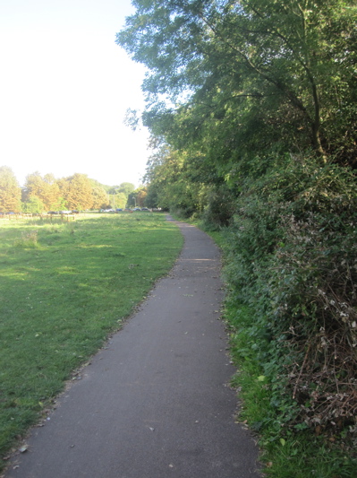 This path on New Bit in Cambridge is to be widened. I have asked if the effect of tree roots can be considered and mitigated during construction.