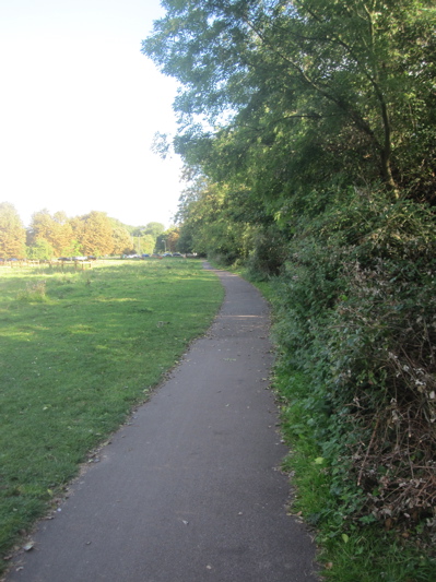 This path on New Bit in Cambridge is to be widened. I have asked if the effect of tree roots can be considered and mitigated during construction.  