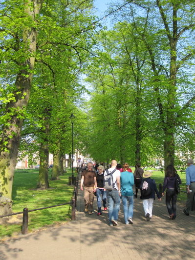 Avenue of Trees at New Square