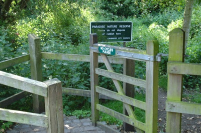 Paradise Nature Reserve - Looking A Little Overgrown and Wild 