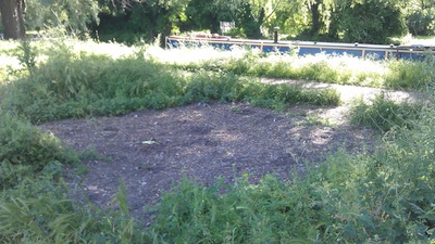 Bare earth on Stourbridge Common. Sprouts removed.  