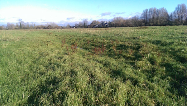 Grassed over scrape, with a little water