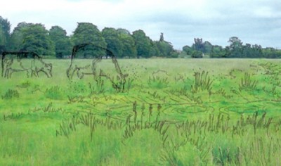 Artists impression of muddier "scrape" proposed for Stourbridge Common