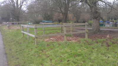 Site of Failed New Tree - Stourbridge Common