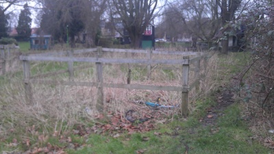 Site of Failed New Tree - Stourbridge Common