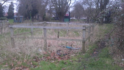 Site of Failed New Tree - Stourbridge Common