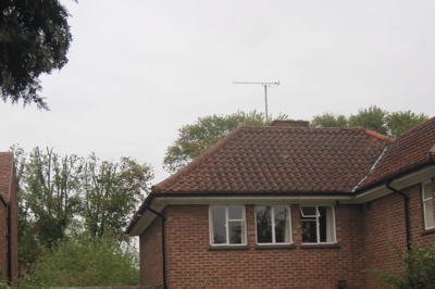 View of the tree works from Holbrook Road.