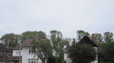 Gap tooth appearance of trees at Templemore Close