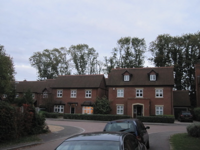 Gap tooth appearance of trees at Templemore Close