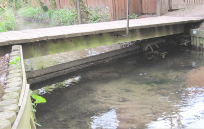 Pipes under bridge on Vicars Brook