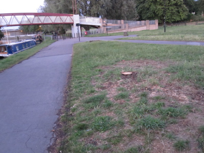 Location of Basket Willow which has been felled